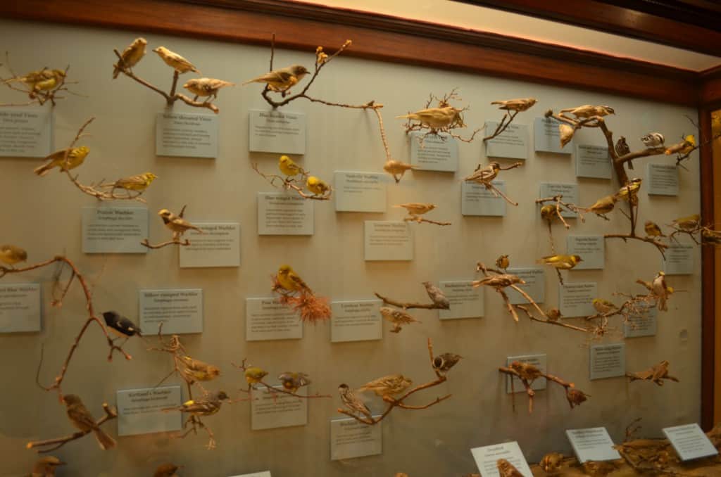 Smithsonian Natural History Museum - Bucket List Marked Off Washington DC