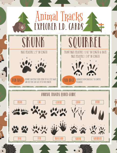 Animal Tracks Explorer ID Cards