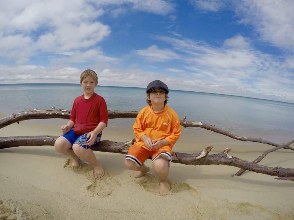 boys sitting on tree branch in front of Lake Superior Michigan