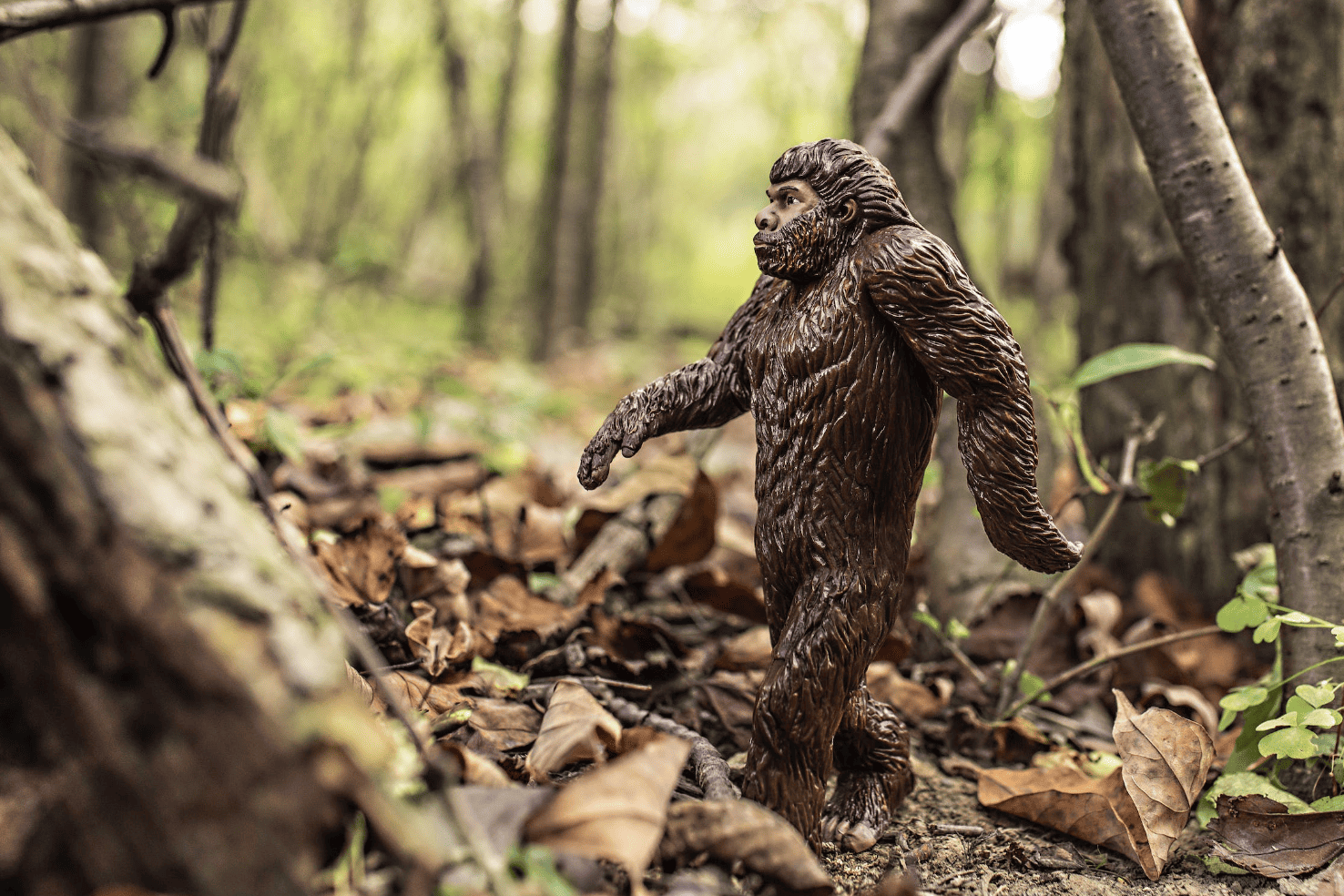 Bigfoot toy walking outdoors in nature