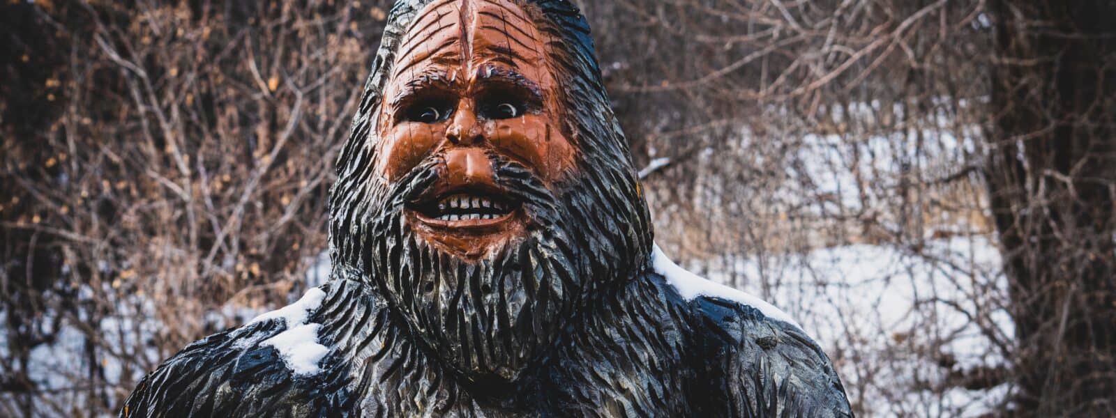 Chasing the Trail of Bigfoot Museums in America