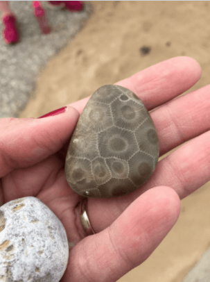 Finding Petoskey Stones on the beach in Michigan