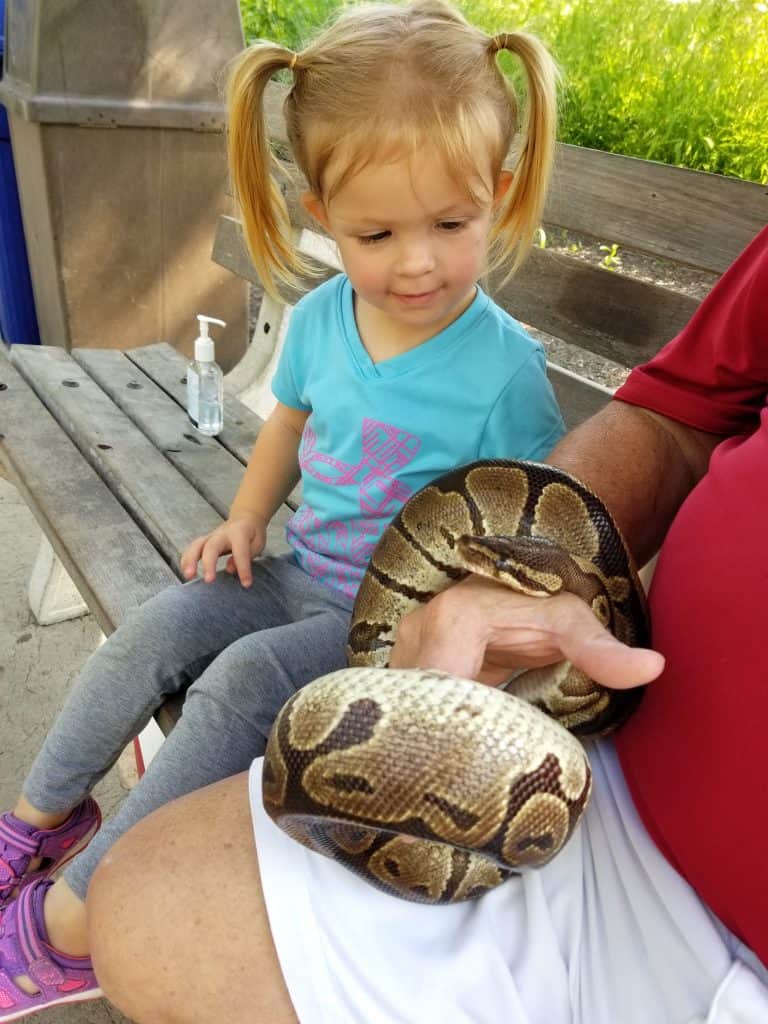 Insanely Fun Learning Adventures at the Zoo for All Ages in Fort Wayne, Indiana