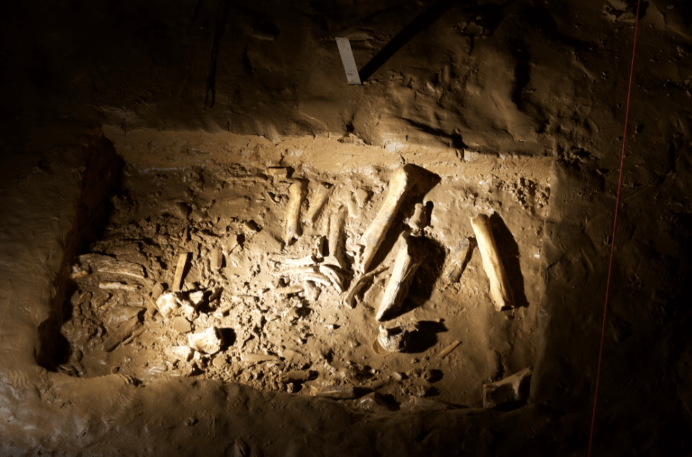 pile of Ice Age bones found in Indiana Caverns