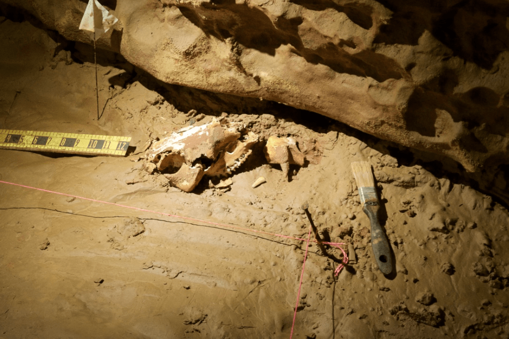 archaeological excavation site in cave