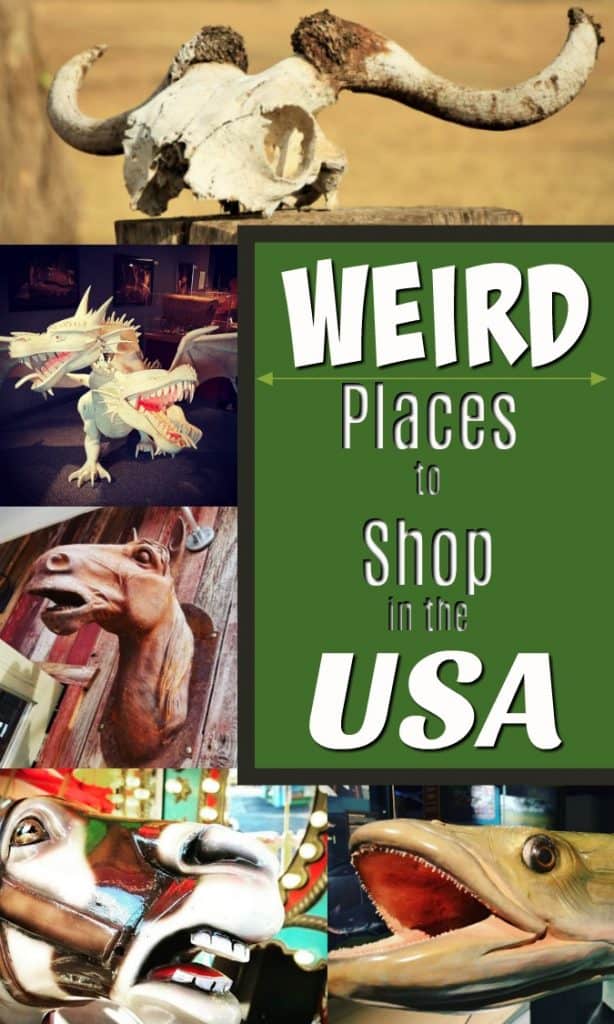 strange odd weird places to shop in the USA