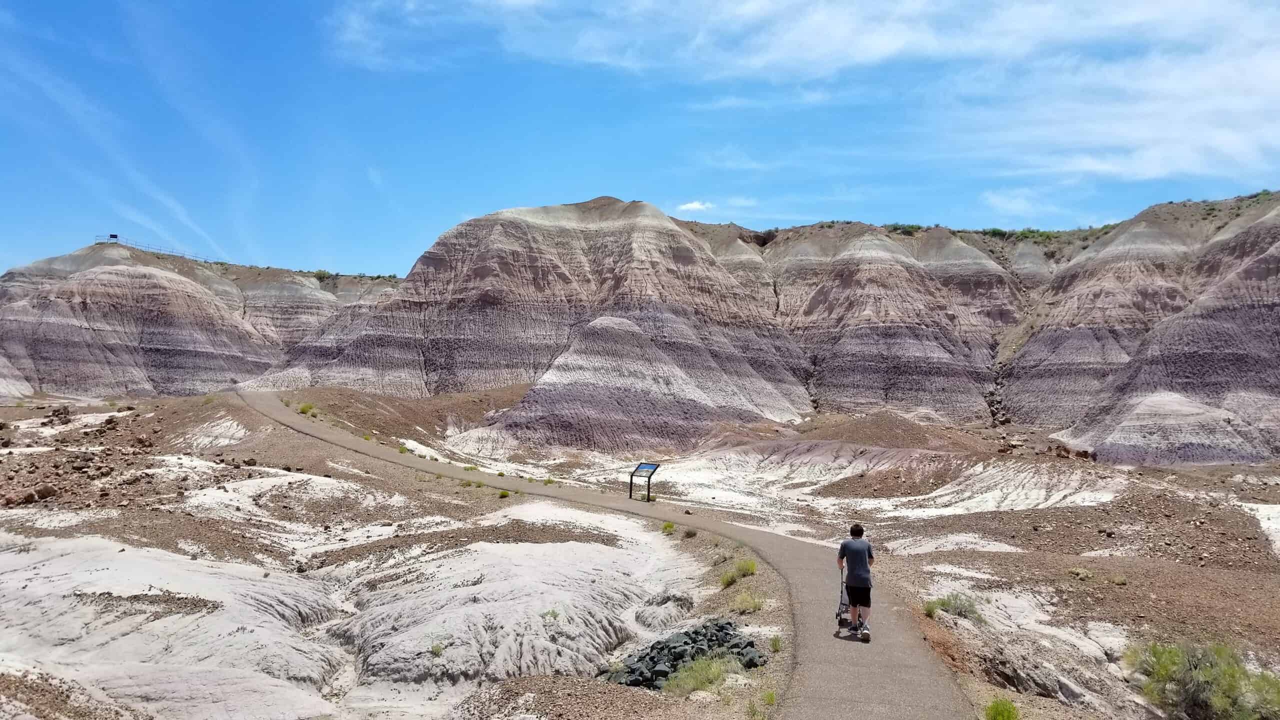 Hiking on the Blue Mesa Trail in Petrified Forest National Park