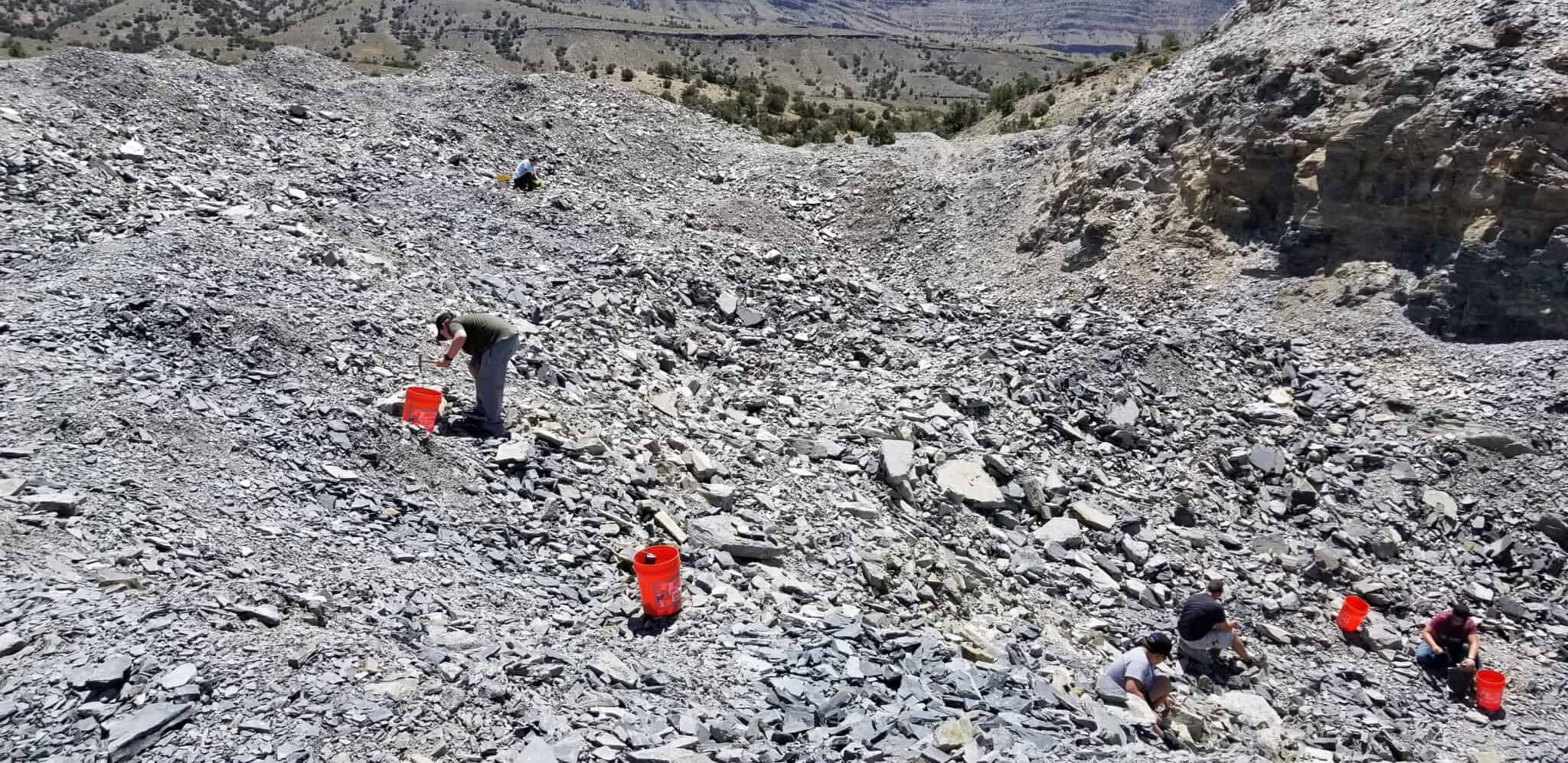 Where To Dig For Fossils In Utah U Dig Trilobites Exploration America