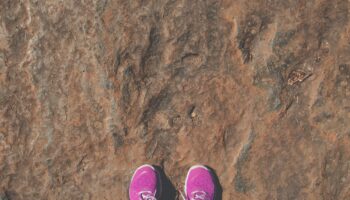 standing near dinosaur footprints