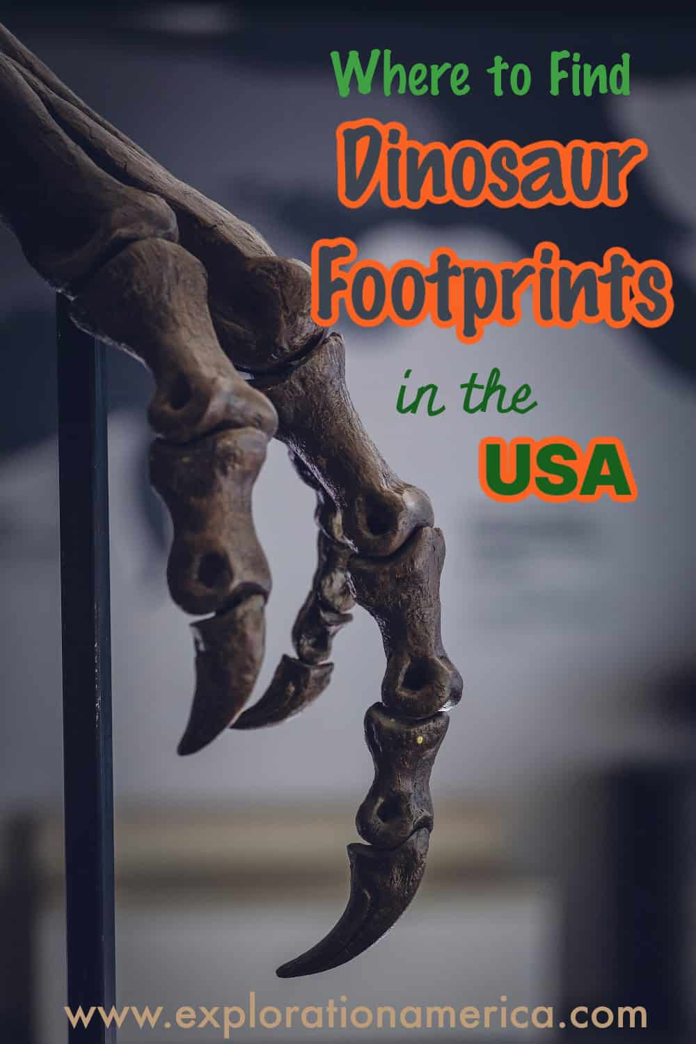 dinosaur footprints travel